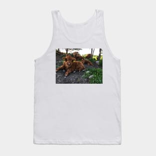 Scottish Highland Cattle Calves 1764 Tank Top